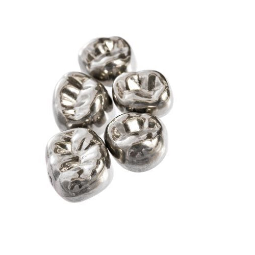 House Brand EVACL6 Evolve Stainless Steel Primary Anterior Cuspid Lower #6 Crowns 5/Pk House Brand EVACL6 Evolve Stainless Steel Primary Anterior Cuspid Lower #6 Crowns 5/Pk
